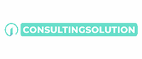 1ConsultingSolution Logo